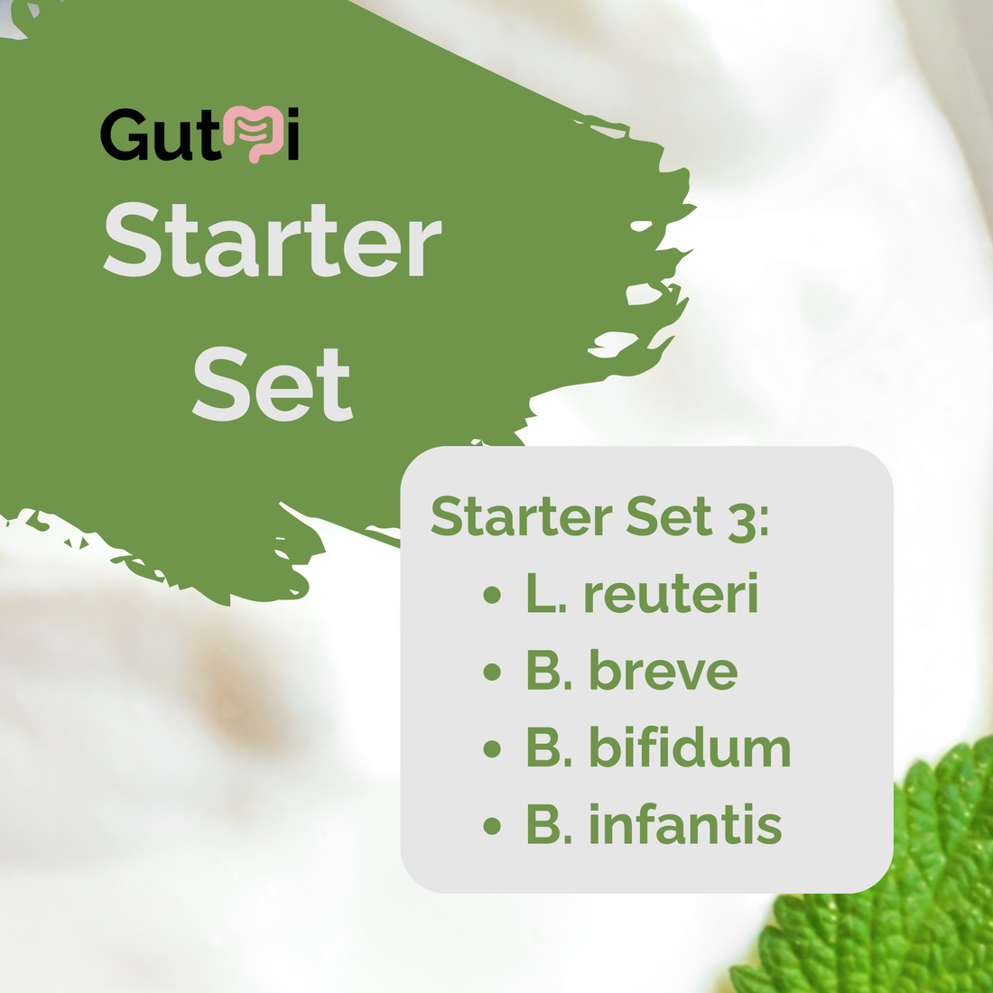 Rebuild the microbiome with lost species – With yogurt from L. reuteri, B. breve, B. bifidum, B. infantis yogurt