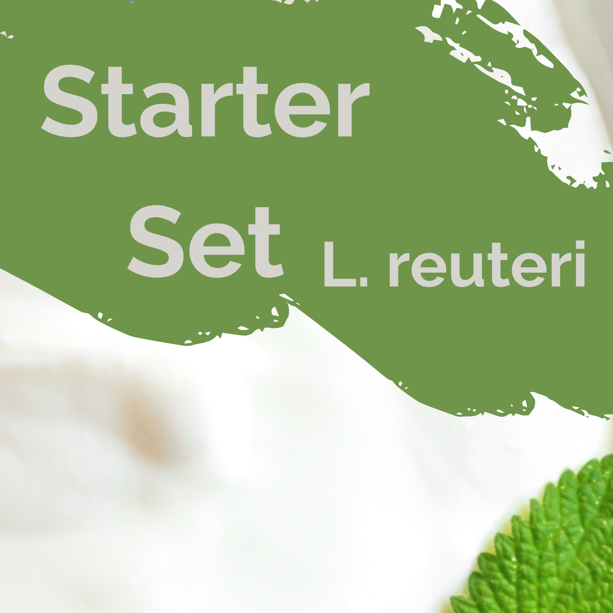 L. reuteri | Yogurt Starter Set | Starter Cultures | Pack of 3